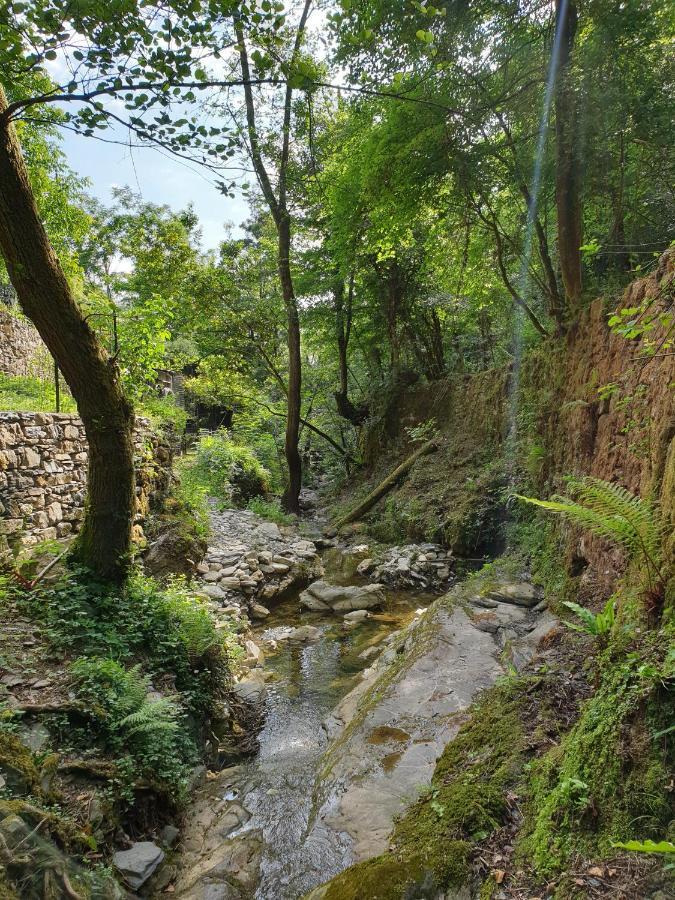 Collina E Mare Villa Camogli Buitenkant foto